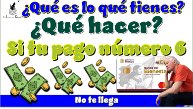 ¿Qué es lo que tienes qué hacer si tu pago número 6 no te llega?