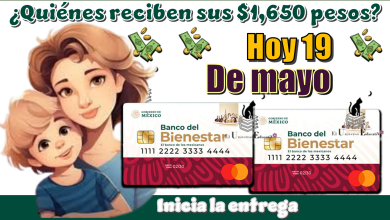 ¿Quiénes reciben sus $1,650 pesos?...Hoy 19 de mayo inicia la entrega 