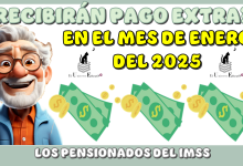 RECIBIRÁN PAGO EXTRA EN EL MES DE ENERO DEL 2025 LOS PENSIONADOS DEL IMSS