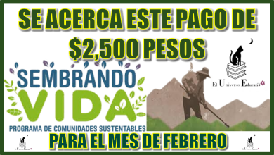 SE ACERCA ESTE PAGO DE $6,250 PESOS PARA EL MES DE FEBRERO | PROGRAMA DEL BIENESTAR 