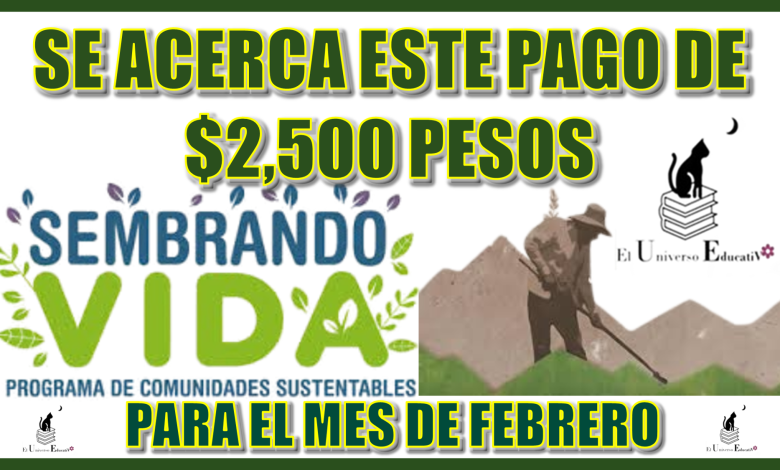 SE ACERCA ESTE PAGO DE $6,250 PESOS PARA EL MES DE FEBRERO | PROGRAMA DEL BIENESTAR 