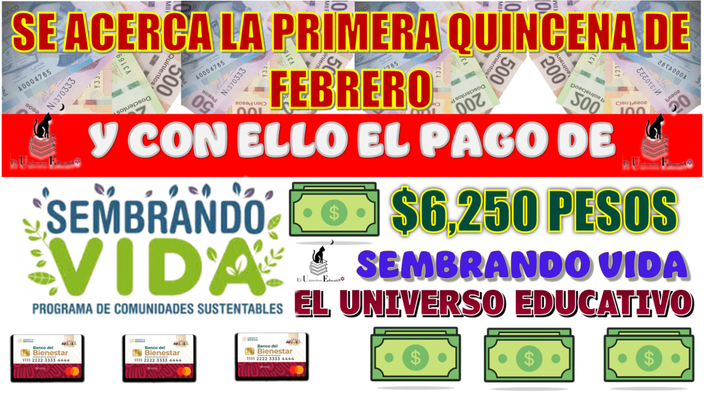 SE ACERCA LA PRIMERA QUINCENA DE FEBRERO Y CON ELLO EL PAGO DE $6,250 PESOS | SEMBRANDO VIDA 2025 