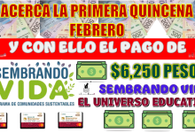 SE ACERCA LA PRIMERA QUINCENA DE FEBRERO Y CON ELLO EL PAGO DE $6,250 PESOS | SEMBRANDO VIDA 2025 