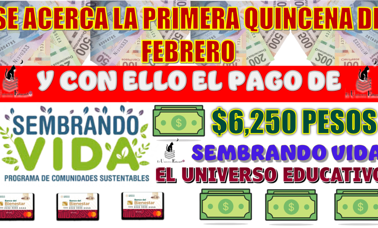 SE ACERCA LA PRIMERA QUINCENA DE FEBRERO Y CON ELLO EL PAGO DE $6,250 PESOS | SEMBRANDO VIDA 2025 