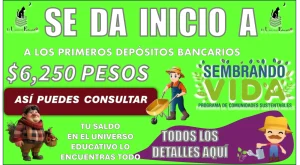 SE DA INICIO A LOS PRIMEROS DEPÓSITOS BANCARIOS | $6,250 PESOS, ASÍ PUEDES CONSULTAR TU SALDO