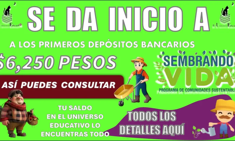 SE DA INICIO A LOS PRIMEROS DEPÓSITOS BANCARIOS | $6,250 PESOS, ASÍ PUEDES CONSULTAR TU SALDO