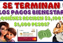 SE TERMINAN LOS PAGOS BIENESTAR | ¿QUIÉNES RECIBEN SU PAGO DE $3,100 Y $1,600 PESOS HOY?