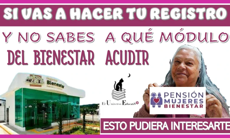 SI VAS HACER TU REGISTRO Y NO SABES A QUÉ MÓDULO DEL BIENESTAR ACUDIR...ENTONCES ESTO PUDIERA INTERESARTE 