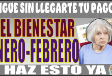 ¿SIGUE SIN LLEGARTE TU PAGO DEL BIENESTAR DE ENERO-FEBRERO?… HAZ ESTO YA 