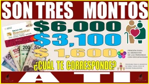 SON TRES LOS MONTOS QUE SE ENTREGAN | $6,000, $3,100 Y $1,600 PESOS | ¿CUÁL TE CORRESPONDE A TI?