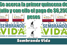Se acerca la primer quincena de julio y con ello el pago de $6,250 pesos | Sembrando Vida