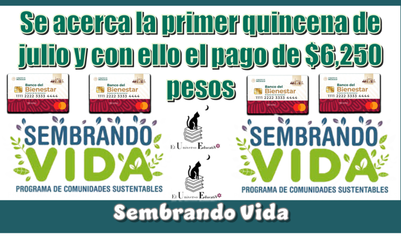 Se acerca la primer quincena de julio y con ello el pago de $6,250 pesos | Sembrando Vida