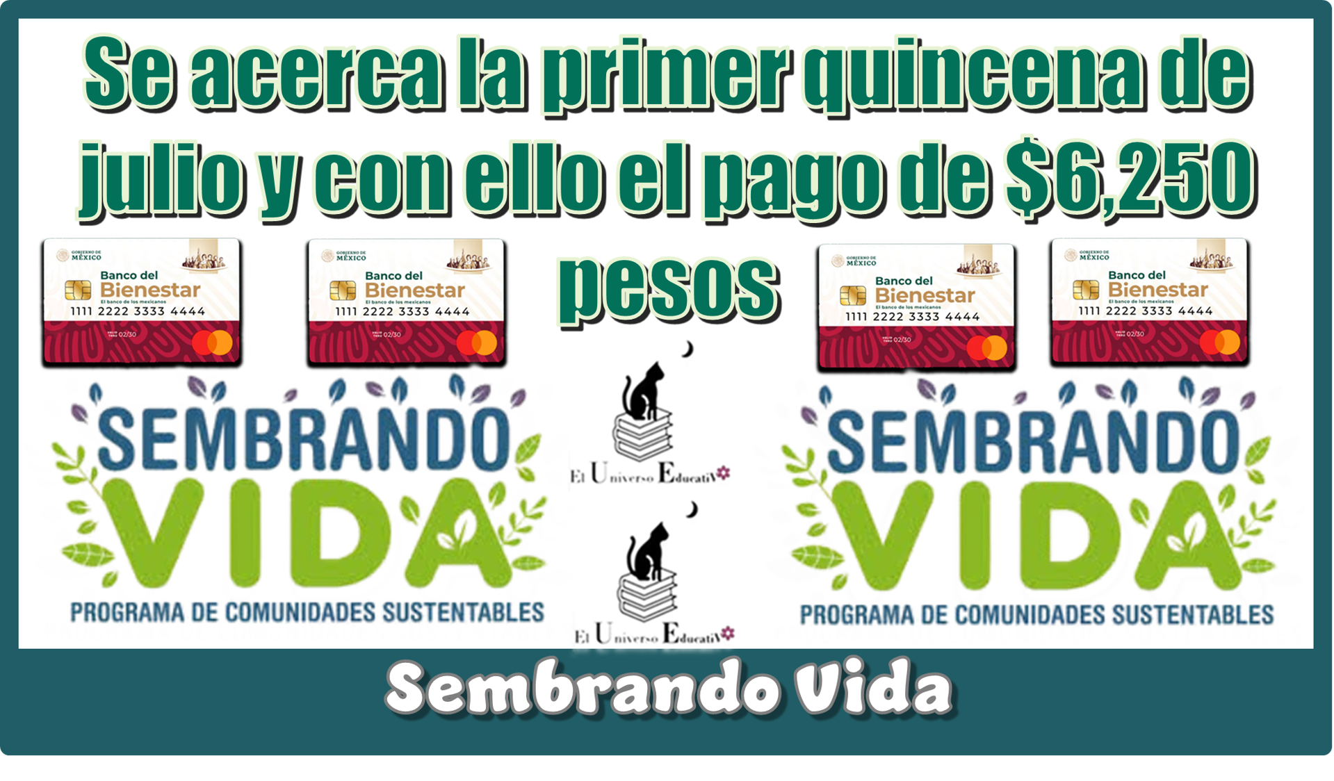 Se acerca la primer quincena de julio y con ello el pago de $6,250 pesos | Sembrando Vida