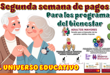 Segunda semana de pagos para los programas del bienestar | Adultos Mayores, Personas con Discapacidad, Madres Trabajadoras y Mujeres Bienestar 