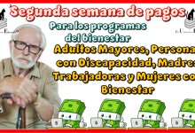 Segunda semana de pagos para los programas del bienestar | Adultos Mayores, Personas con Discapacidad, Madres Trabajadoras y Mujeres Bienestar