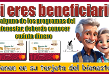 Si eres beneficiario de alguno de los programas del bienestar, deberás conocer cuánto dinero tienen en su tarjeta del bienestar