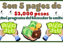 Son 5 pagos de $3,000 pesos | ¿Qué programa del bienestar lo emite?