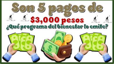 Son 5 pagos de $3,000 pesos | ¿Qué programa del bienestar lo emite?