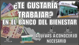 ¿TE GUSTARÍA TRABAJAR EN EL BANCO DEL BIENESTAR? | AQUÍ VAS A CONOCER LO NECESARIO