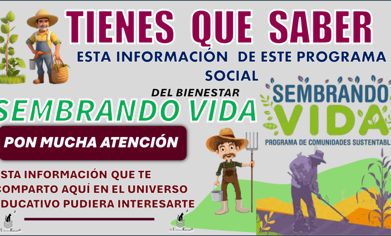 TIENES QUE SABER ESTA INFORMACIÓN DE ESTE PROGRAMA DEL BIENESTAR SEMBRANDO VIDA PON MUCHA ATENCIÓN