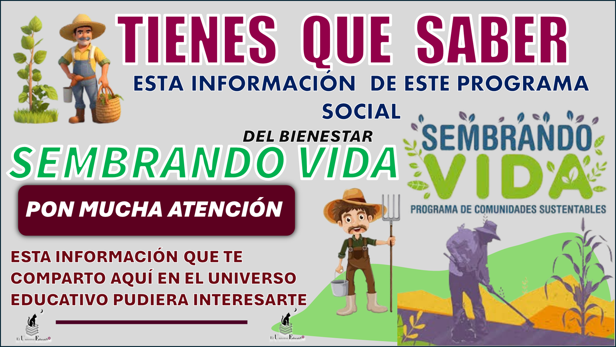 TIENES QUE SABER ESTA INFORMACIÓN DE ESTE PROGRAMA DEL BIENESTAR SEMBRANDO VIDA PON MUCHA ATENCIÓN