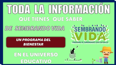 TODA LA INFORMACIÓN QUE TIENES QUE SABER DE SEMBRANDO VIDA UN PROGRAMA MÁS DEL BIENESTAR 