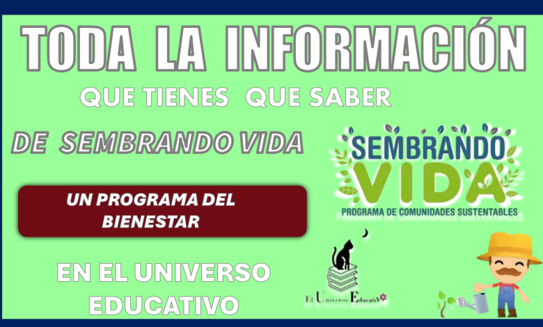 TODA LA INFORMACIÓN QUE TIENES QUE SABER DE SEMBRANDO VIDA UN PROGRAMA MÁS DEL BIENESTAR 