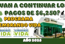 ¿VAN A CONTINUAR LOS PAGOS DE $6,250 PESOS DEL PORGRAMA DEL BIENESTAR DE SEMBRANDO VIDA? | AÑO 2025 