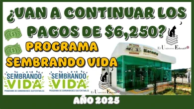 ¿VAN A CONTINUAR LOS PAGOS DE $6,250 PESOS DEL PORGRAMA DEL BIENESTAR DE SEMBRANDO VIDA? | AÑO 2025 