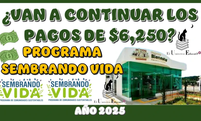 ¿VAN A CONTINUAR LOS PAGOS DE $6,250 PESOS DEL PORGRAMA DEL BIENESTAR DE SEMBRANDO VIDA? | AÑO 2025 