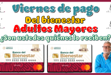 Viernes pago del bienestar | Adultos Mayores ¿son ustedes quiénes lo reciben?
