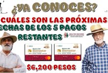 ¿YA CONOCES CUÁLES SON LAS PRÓXIMAS FECHAS DE LOS 5 PAGOS RESTANTES DE $6,200 PESOS? | BIENESTAR 2025