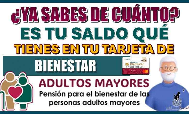 ¿YA SABES DE CUÁNTO ES TU SALDO QUÉ TIENES EN TU TARJETA DE BIENESTAR?