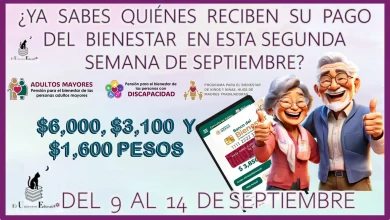 ¿YA SABES QUIÉNES RECIBEN SU PAGO DEL BIENESTAR EN ESTA SEGUNDA SEMANA DE SEPTIEMBRE? | DEL 9 AL 14 ENTREGA DE $6,000, $3,100 Y $1,600 PESOS 