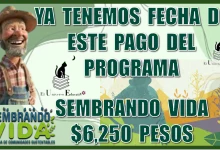 YA TENEMOS FECHA DE ESTE PAGO DEL PROGRAMA SEMBRANDO VIDA… SERÁN $6,250 PESOS EN ESTE MES DE SEPTIEMBRE