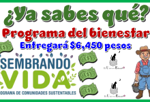 ¿Ya sabes qué programa del bienestar entregará $6,450 pesos? | Mes de septiembre 