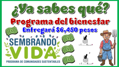 ¿Ya sabes qué programa del bienestar entregará $6,450 pesos? | Mes de septiembre 