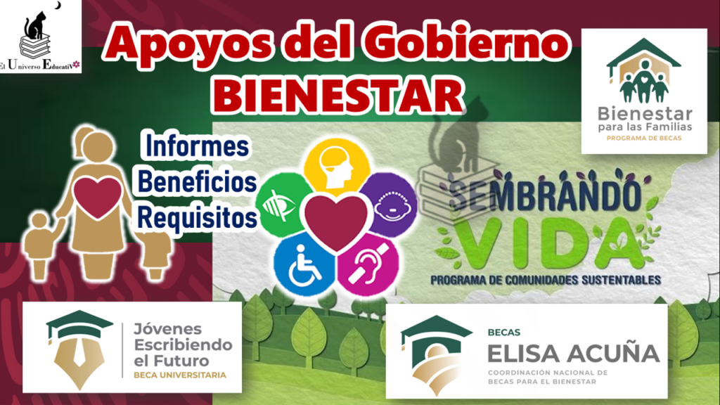 ≫ Apoyos Del Gobierno BIENESTAR ️【 Junio 2024】