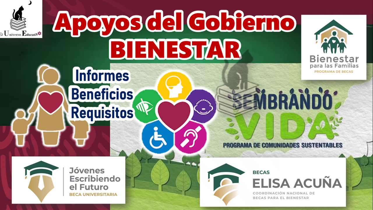 apoyos-del-gobierno-bienestar-1.png