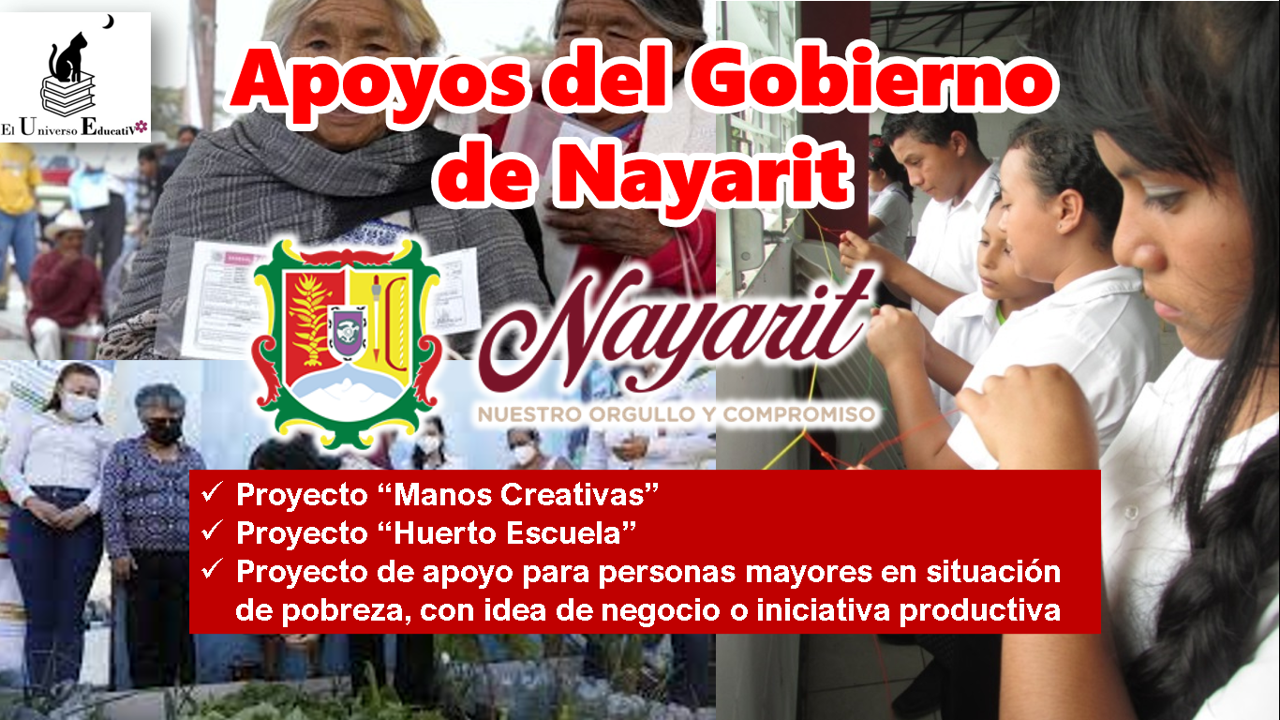 apoyos-del-gobierno-de-nayarit.png