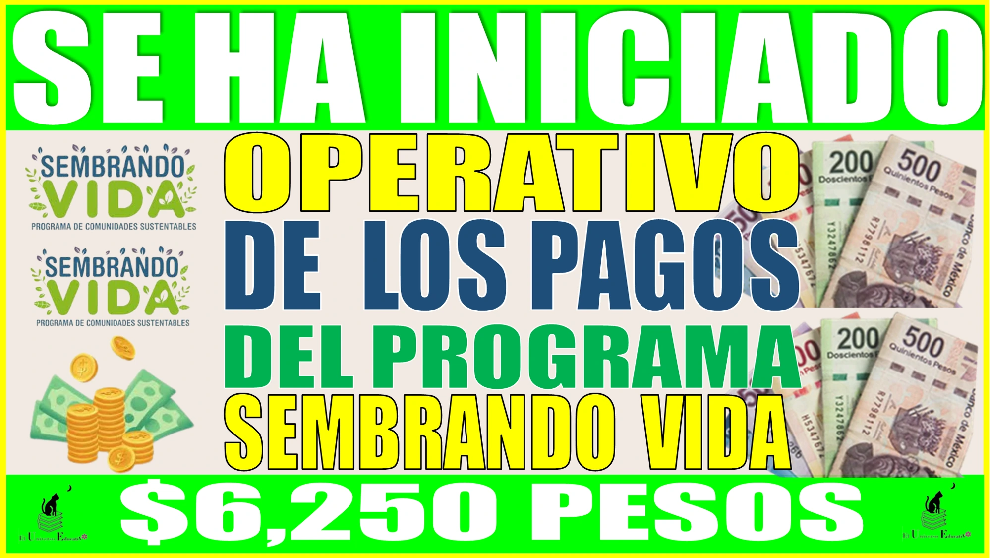 💸🤑 SE HA INICIADO EL OPERATIVO DE LOS PAGOS DE EL PROGRAMA DE SEMBRANDO VIDA | 2024 |$6, 250 pesos 💸🤑